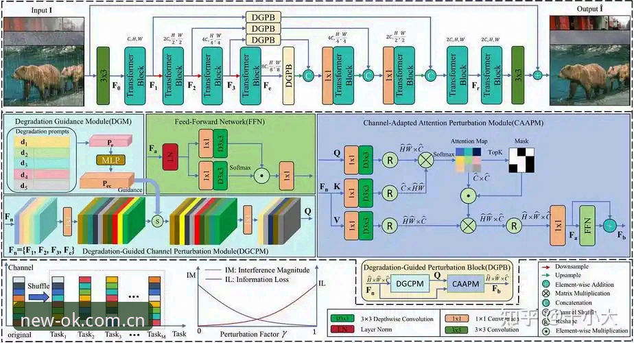 OK体育平台2025新版首页操作教程：告别冗余跳转的实战指南